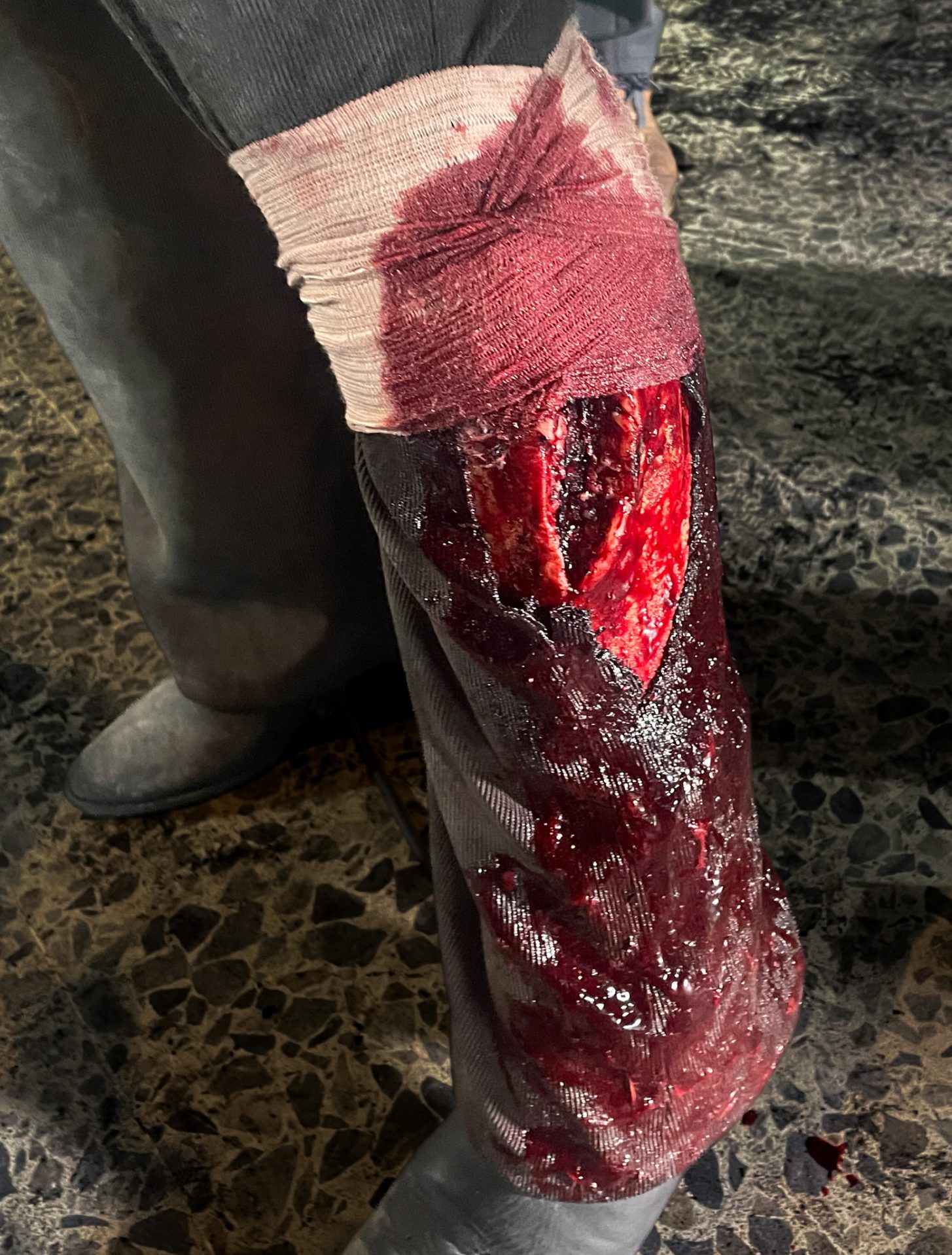 Palacio SFX Torso